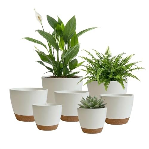 LIFFY Plant Pots, 8,7